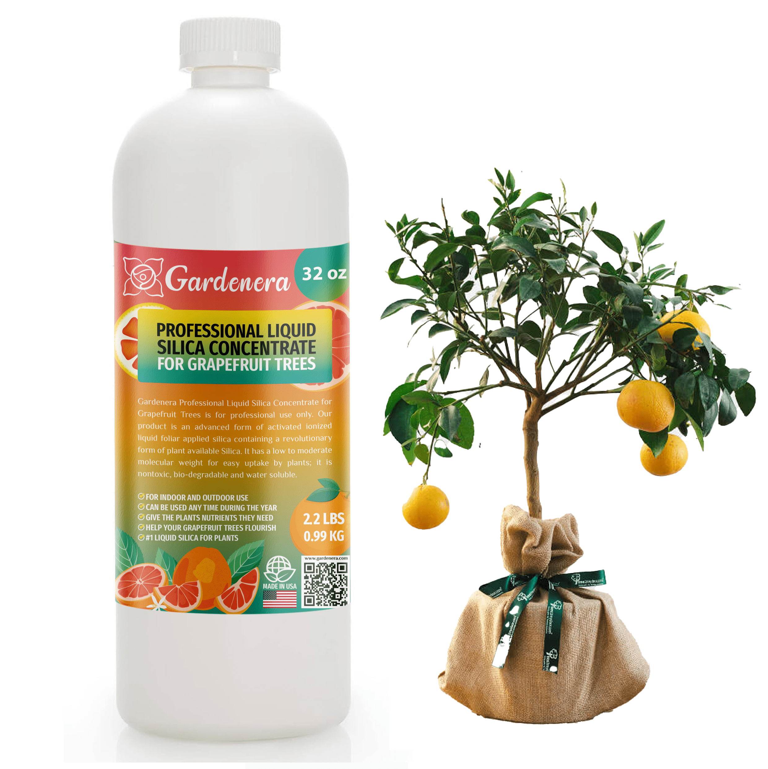 ⭐ 𝐁𝐄𝐒𝐓𝐒𝐄𝐋𝐋𝐄𝐑 Liquid Silica Plant Supplement - 32oz - GRAPEFRUIT TREES Liquid Silica Boost Fertilizer - Stronger Stems & Healthy Leaves for Indoor & Outdoor Grapefruit (Makes 180 Gallons)