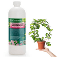 thumbnail image 1 of 𝐏𝐑𝐎𝐅𝐄𝐒𝐒𝐈𝐎𝐍𝐀𝐋 Liquid Silica Plant Supplement - 32oz - HOYA Plants Liquid Silica Boost Fertilizer - Stronger Stems & Healthy Leaves for Indoor & Outdoor Hoya Plants (Makes 180 Gallons), 1 of 7