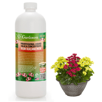 β ππππππππππ Liquid Silica Plant Supplement - 32oz - KALANCHOE Plants Liquid Silica Boost Fertilizer - Stronger Stems & Healthy Leaves for Indoor & Outdoor Kalanchoe (Makes 180 Gallons)