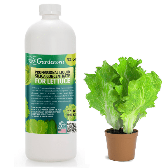 𝐏𝐑𝐎𝐅𝐄𝐒𝐒𝐈𝐎𝐍𝐀𝐋 Liquid Silica Plant Supplement - 32oz - LETTUCE Plants Liquid Silica Boost Fertilizer - Stronger Stems & Healthy Leaves for Indoor & Outdoor Lettuce Plants (Makes 180 Gallons)
