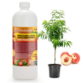 thumbnail image 1 of ⭐ 𝐁𝐄𝐒𝐓𝐒𝐄𝐋𝐋𝐄𝐑 Liquid Silica Plant Supplement - 32oz - PEACH TREE Plants Liquid Silica Boost Fertilizer - Stronger Stems & Healthy Leaves for Indoor & Outdoor Peach Trees (Makes 180 Gallons), 1 of 7