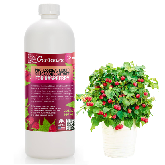 โญ ๐๐๐๐๐๐๐๐๐๐ Liquid Silica Plant Supplement - 32oz - RASPBERRY Plants Liquid Silica Boost Fertilizer - Stronger Stems & Healthy Leaves for Indoor & Outdoor Raspberry (Makes 180 Gallons)