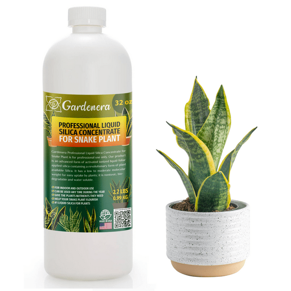β ππππππππππ Liquid Silica Plant Supplement - 32oz - SNAKE Plants Liquid Silica Boost Fertilizer - Stronger Stems & Healthy Leaves for Indoor & Outdoor Snake Plants (Makes 180 Gallons)