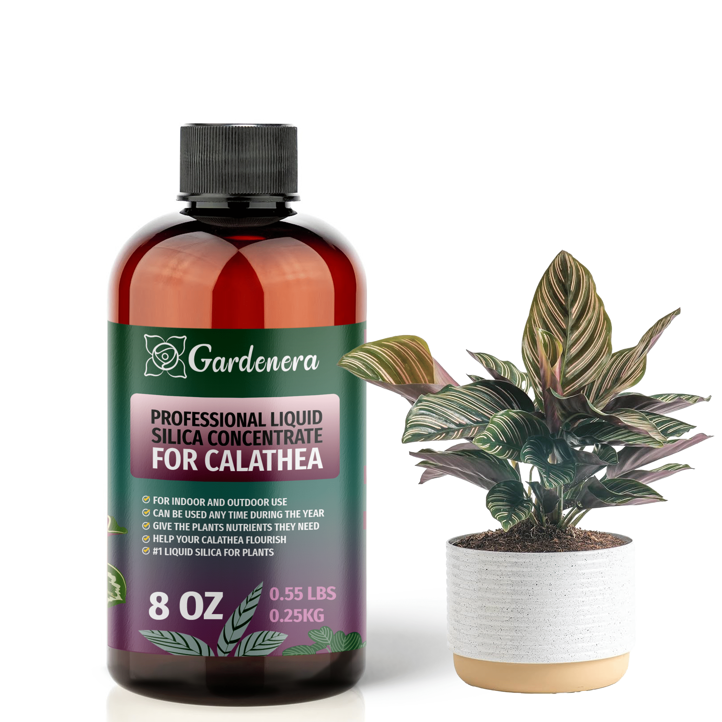 Liquid Silica Plant Supplement - 8oz (250mL) -  CALATHEA Plants Liquid Silica Boost Fertilizer - Stronger Stems & Healthy  Leaves for ...