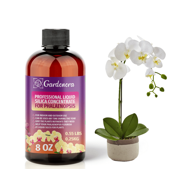 ⭐ 𝐁𝐄𝐒𝐓𝐒𝐄𝐋𝐋𝐄𝐑 Liquid Silica Plant Supplement - 8oz (250mL) - PHALAENOPSIS Plants Liquid Silica Boost Fertilizer - Stronger Stems & Healthy Leaves for Indoor & Outdoor Orchid Plants (Makes 45 Gallons)