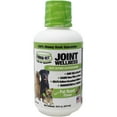 LiquidVet K9 Joint Wellness, Pot Roast Flavor, 16 oz