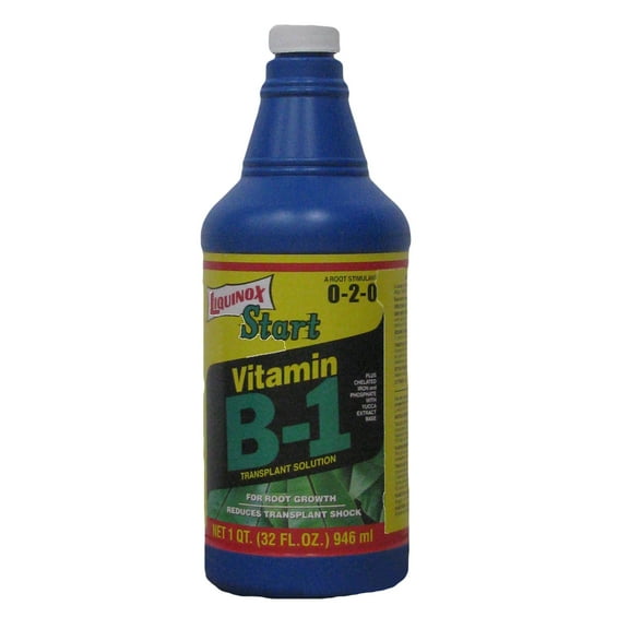 Liquinox Start 0-2-0 Vitamin B-1 Transplant Solution and Root Stimulant, 1 Quart