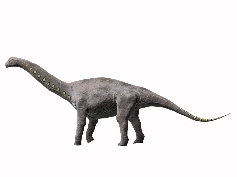 Lirainosaurus astibae Late Cretaceous of Spain Canvas Art - Nobumichi TamuraStocktrek Images (33 x 25)