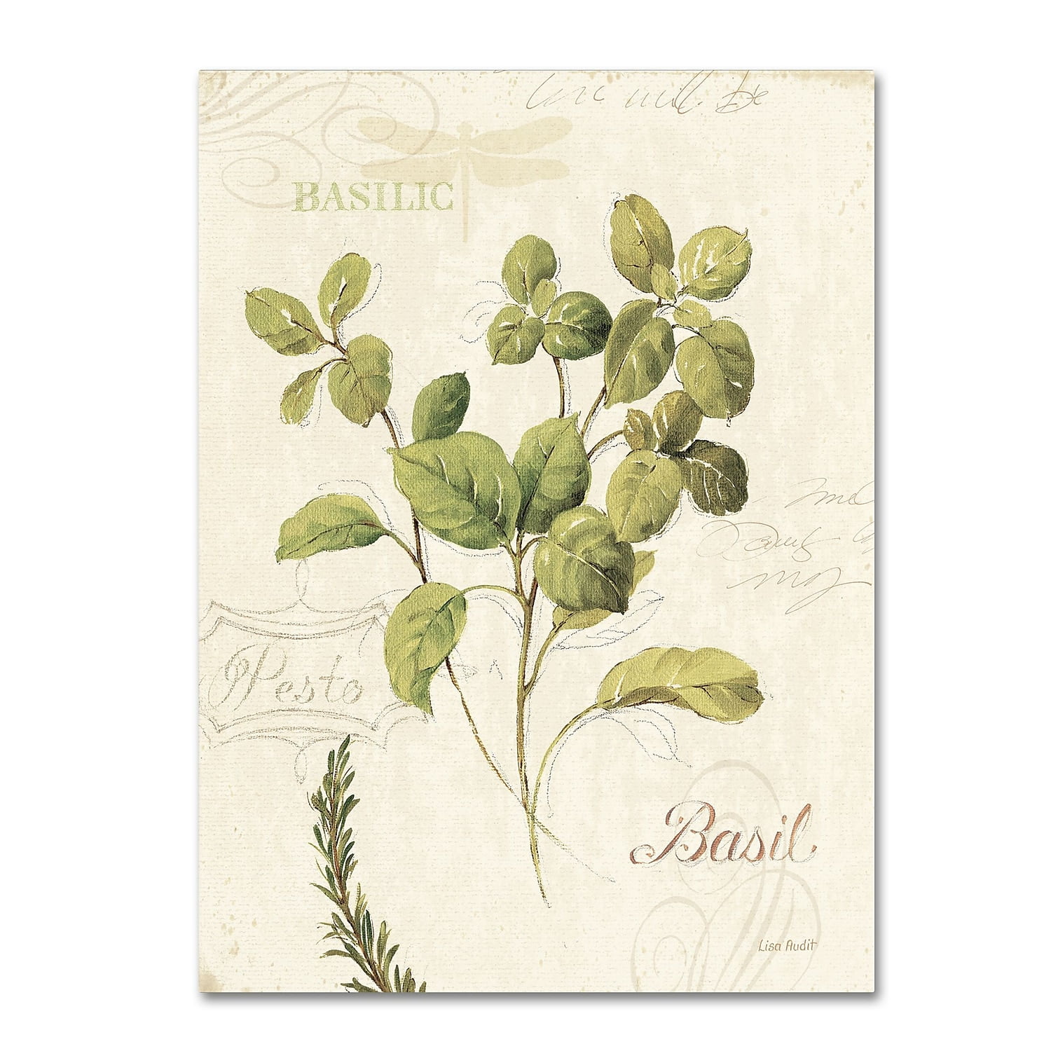 Lisa Audit Aromantique III Green and Beige Floral Canvas Art