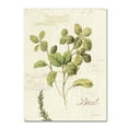 thumbnail image 1 of Lisa Audit 'Aromantique III' Canvas Art, 1 of 4