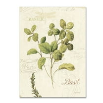 Lisa Audit 'Aromantique III' Canvas Art