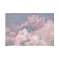 thumbnail image 1 of Lisa Audit 'Daydream Pink 01' Canvas Art, 1 of 3
