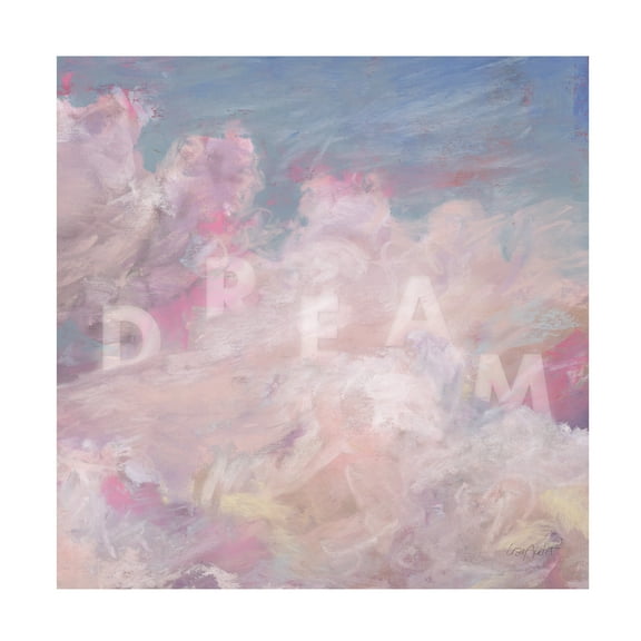 Lisa Audit 'Daydream Pink 04' Canvas Art