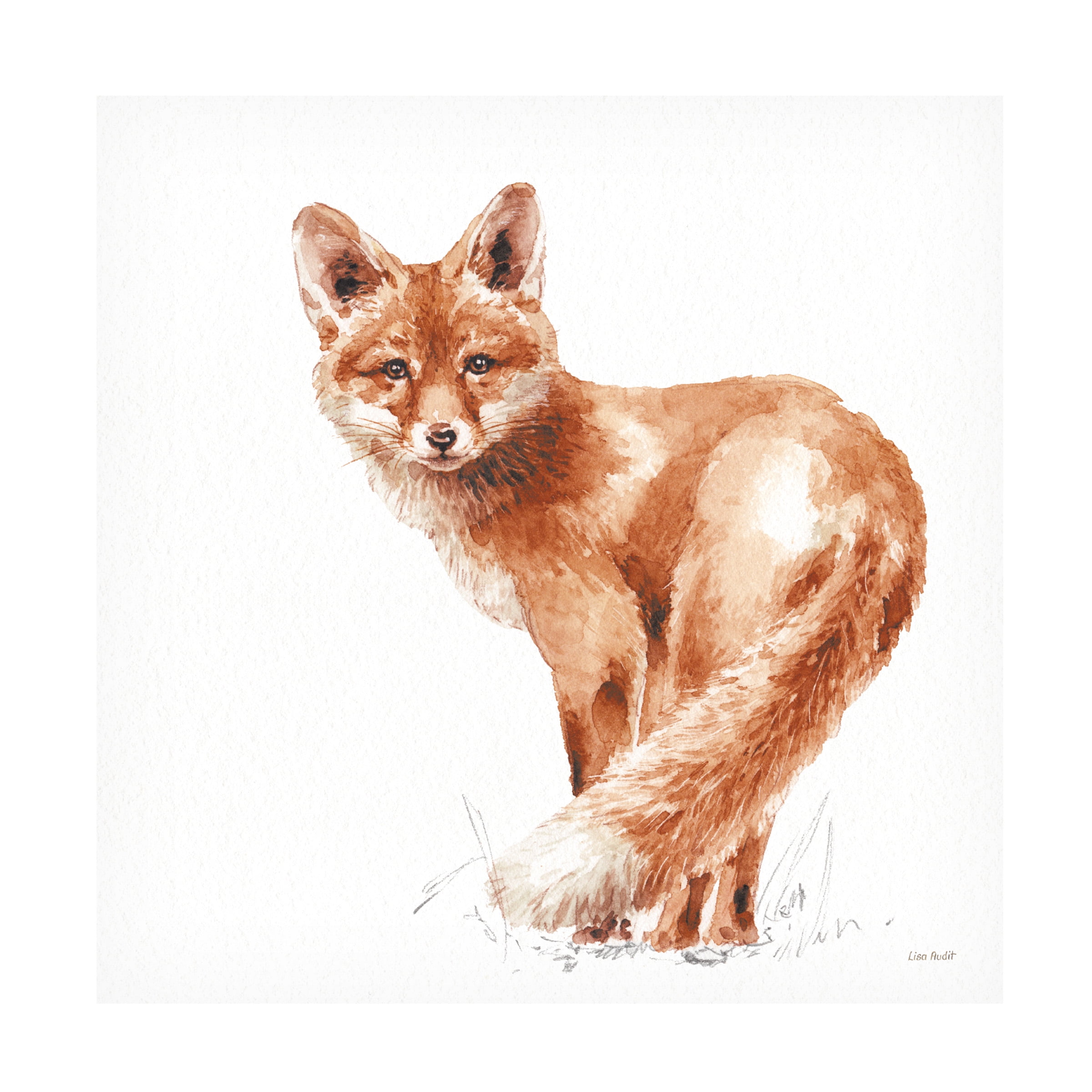 Lisa Audit 'Forest Friends XI Red' Canvas Art