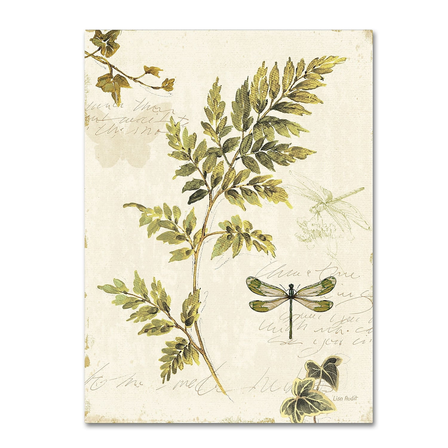 Trademark Fine Art -Lisa Audit 'Ivies and Ferns III' Canvas Art - 24''x32''