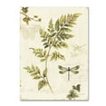 thumbnail image 1 of Trademark Fine Art Lisa Audit Ivies and Ferns III Canvas Wall Art - 24x32, 1 of 5