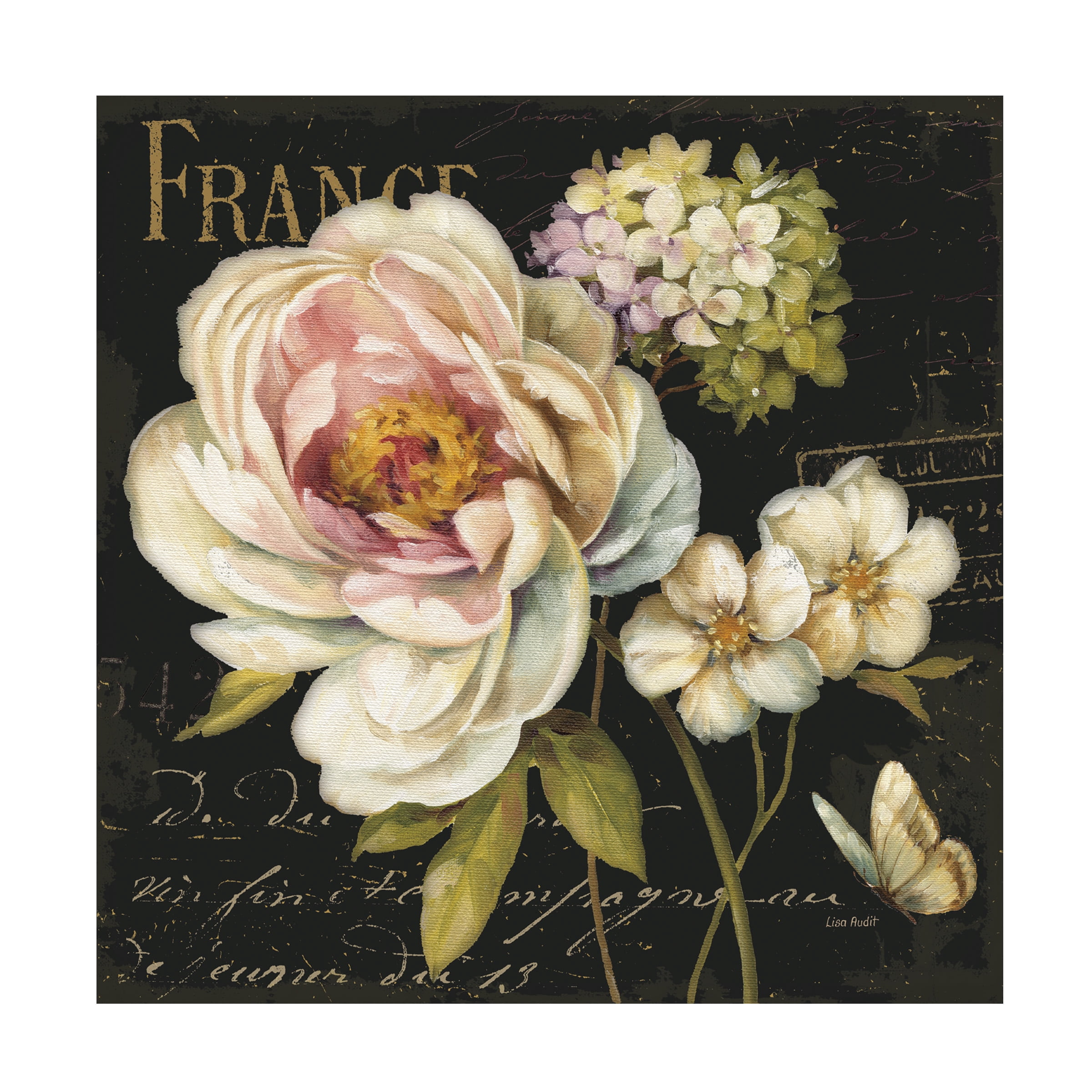 Trademark Fine Art Lisa Audit Marche de Fleurs on Black Canvas Wall Art - 35x35