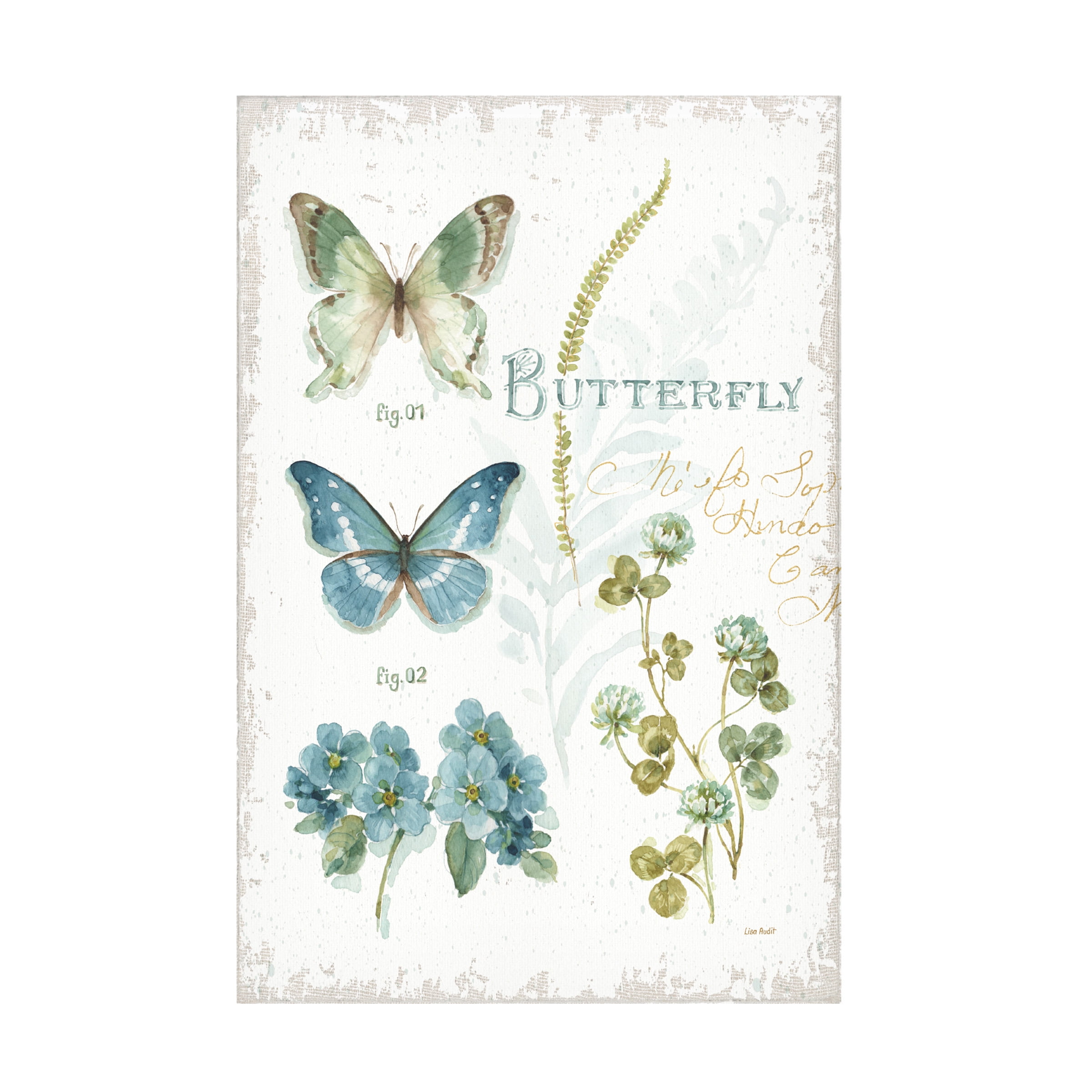 Lisa Audit 'My Greenhouse Botanical Butterfly' Canvas Art