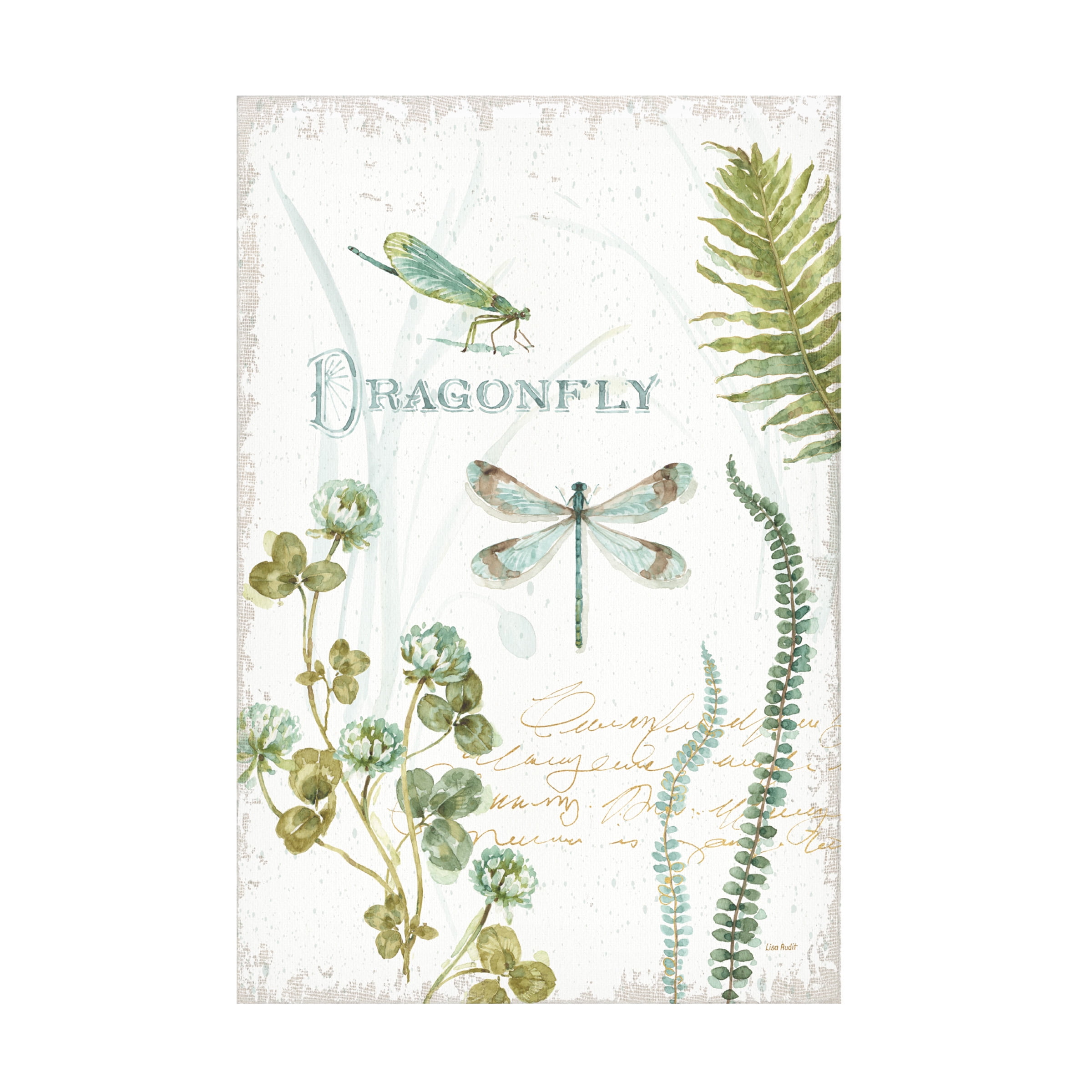Lisa Audit 'My Greenhouse Botanical Dragonfly' Canvas Art