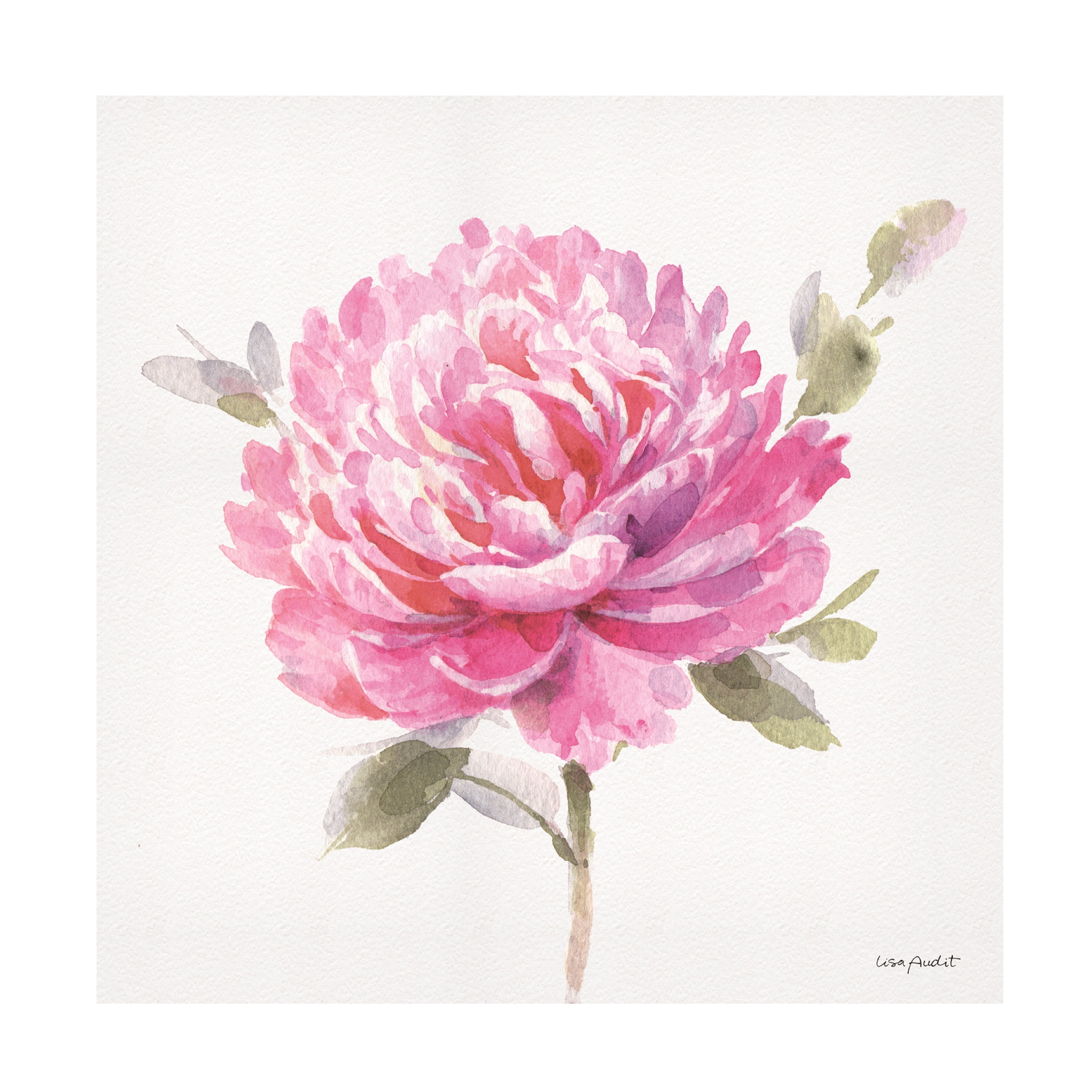 Lisa Audit 'Obviously Pink 03' Canvas Art