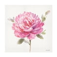 thumbnail image 1 of Lisa Audit 'Obviously Pink 03' Canvas Art, 1 of 3