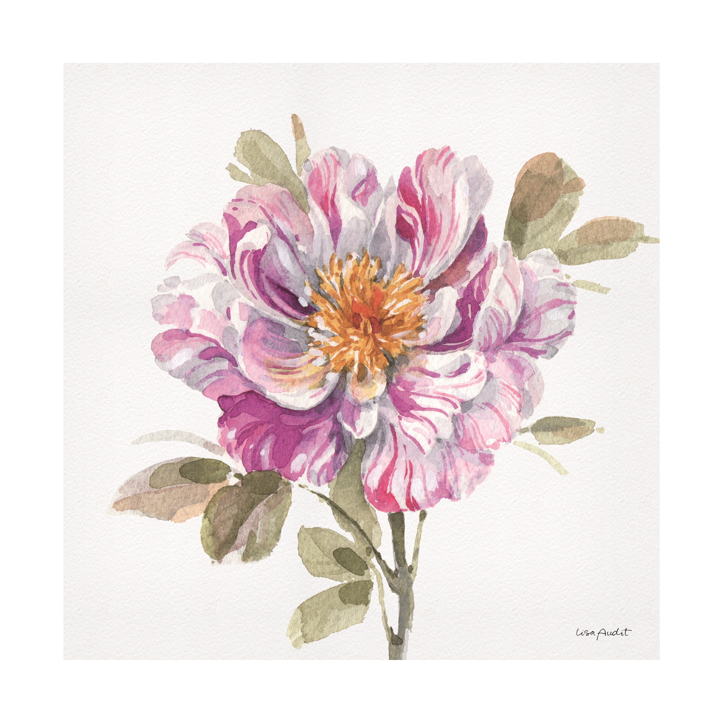 Lisa Audit 'Obviously Pink 04' Canvas Art