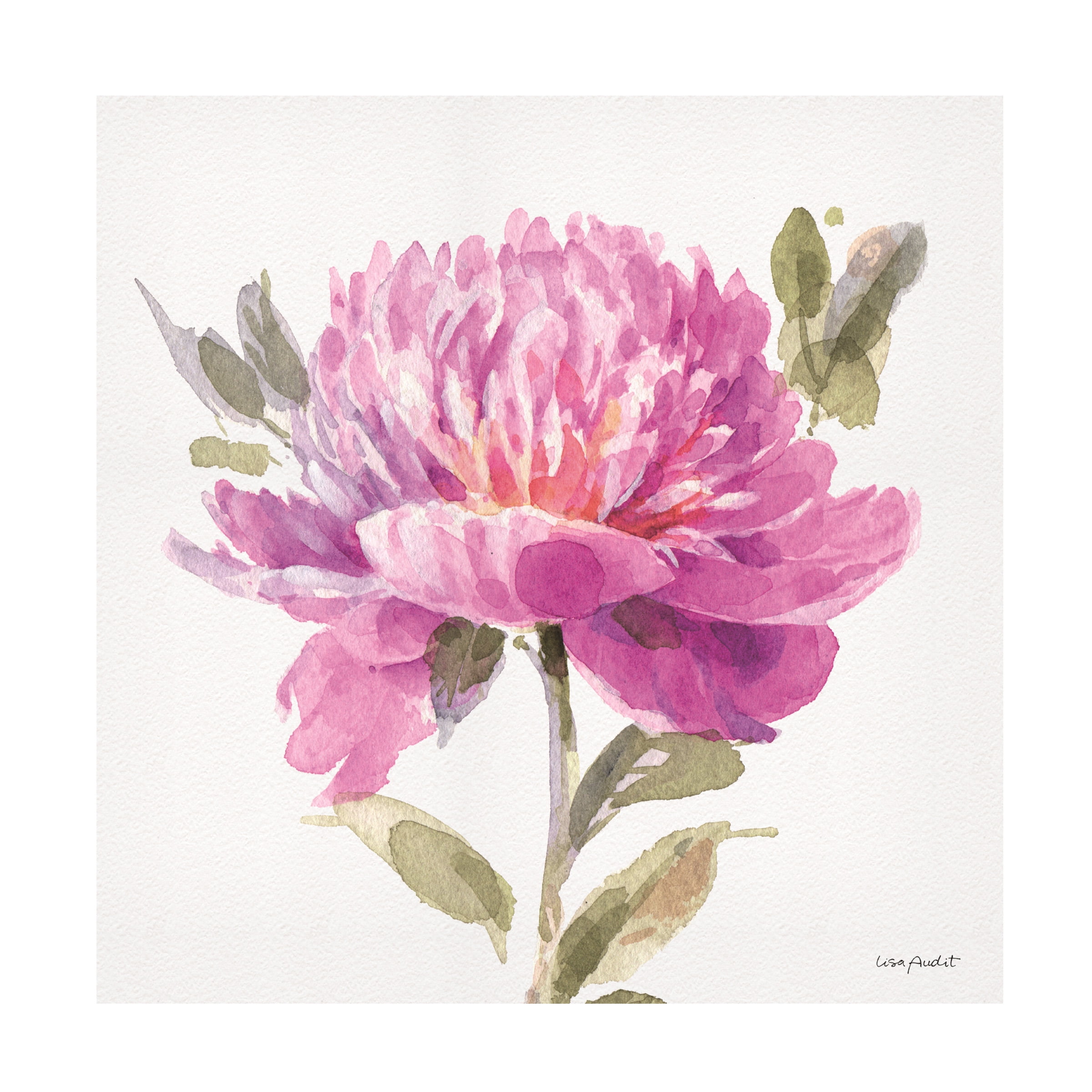 Lisa Audit Pink Floral Canvas Art, 18 x 18 Inches