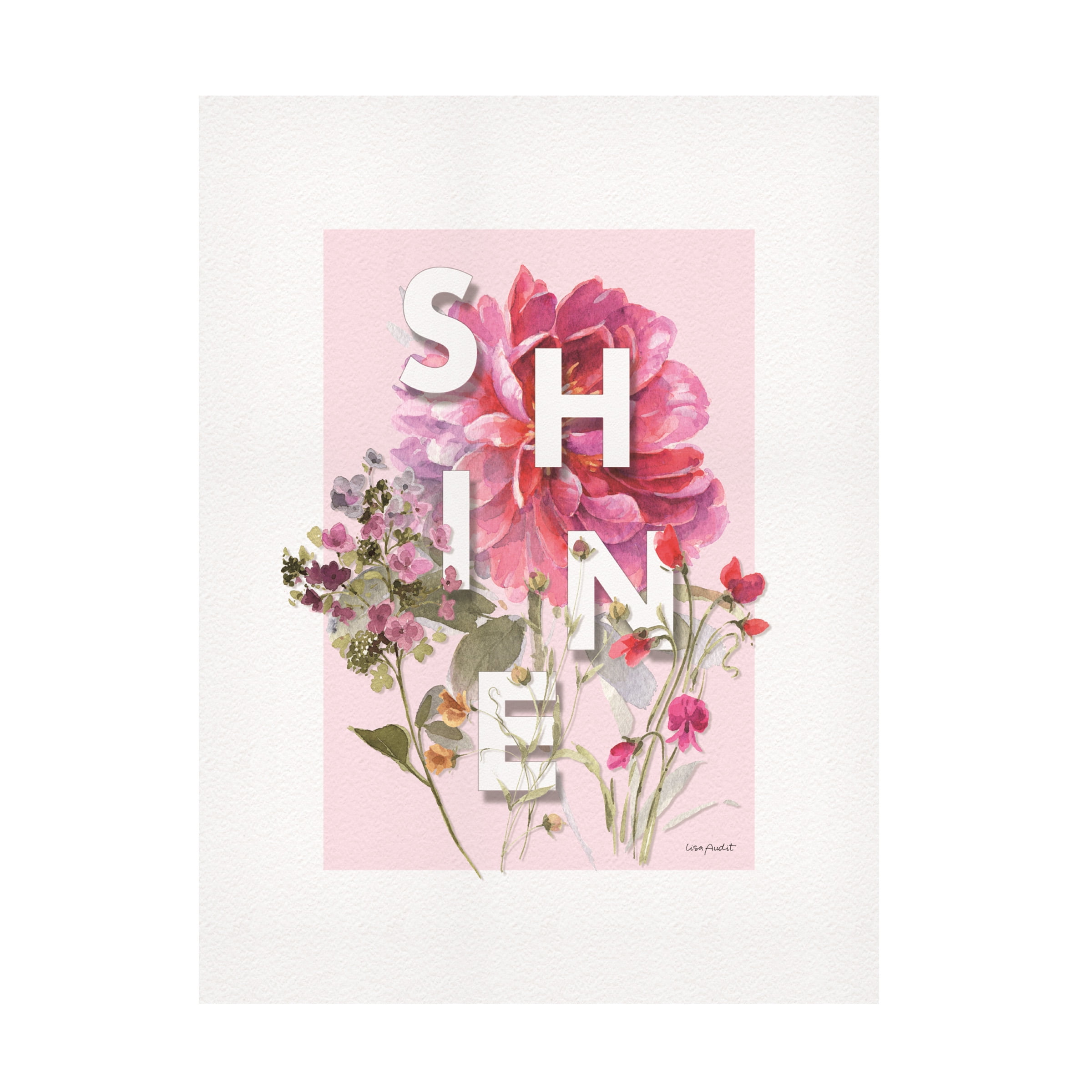 Lisa Audit 'Obviously Pink 08' Canvas Art