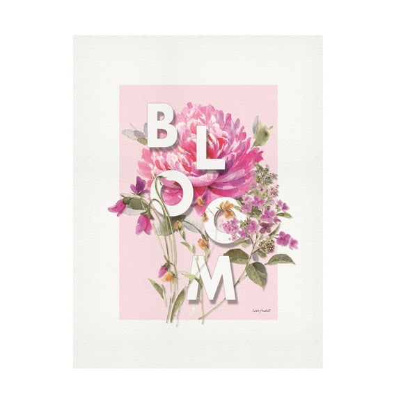 Lisa Audit 'Obviously Pink 09' Canvas Art