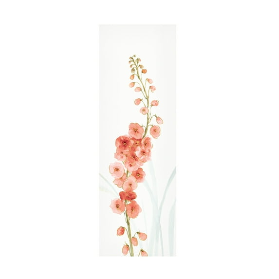 Trademark Fine Art Lisa Audit Rainbow Seeds Flowers VII Coral Canvas Wall Art - 16x47
