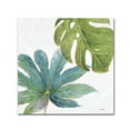 thumbnail image 1 of Lisa Audit 'Tropical Blush VII' Canvas Art, 1 of 4