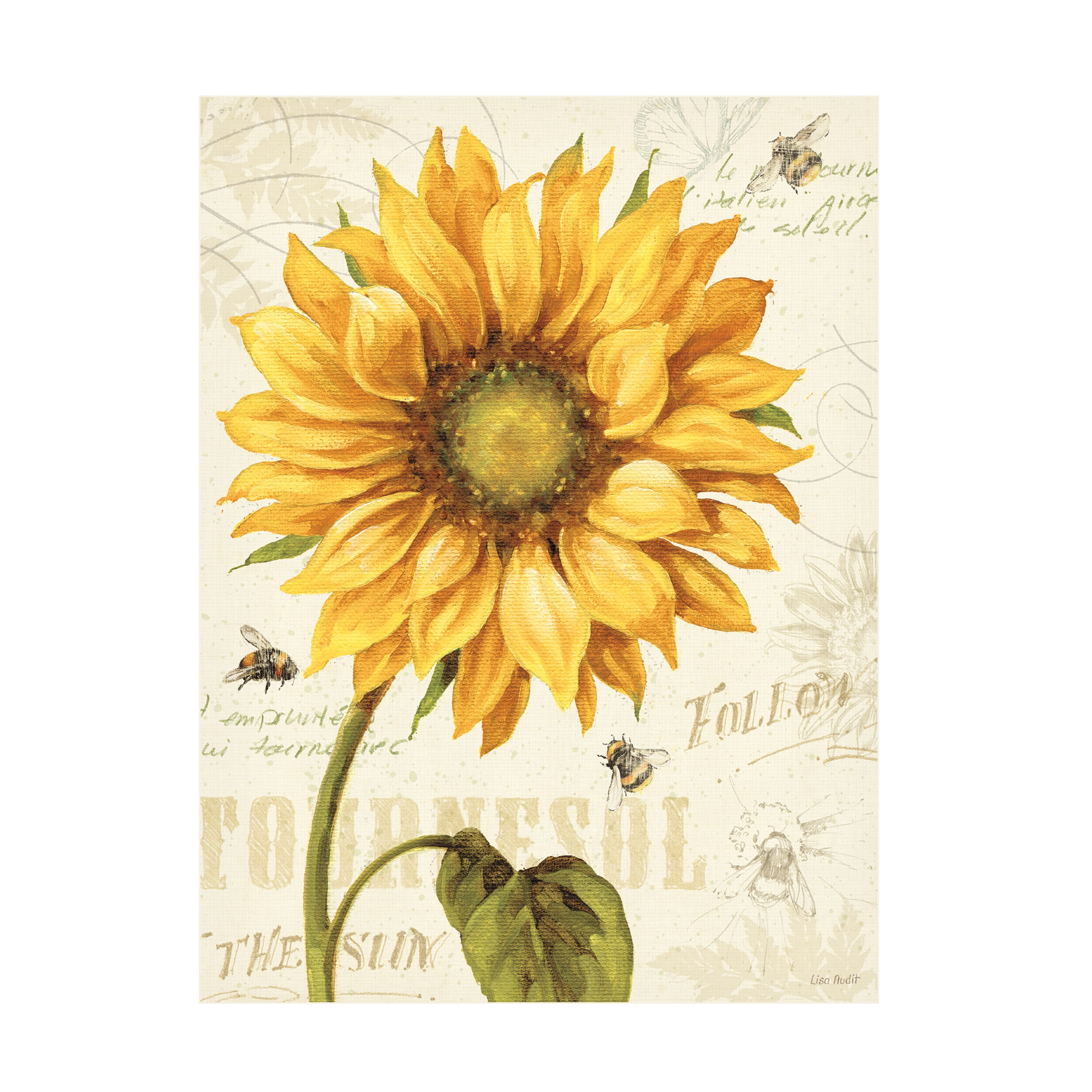 Trademark Fine Art Lisa Audit Under the Sun I Canvas Wall Art - 24x32