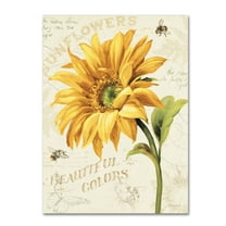 Lisa Audit 'Under the Sun II' Canvas Art