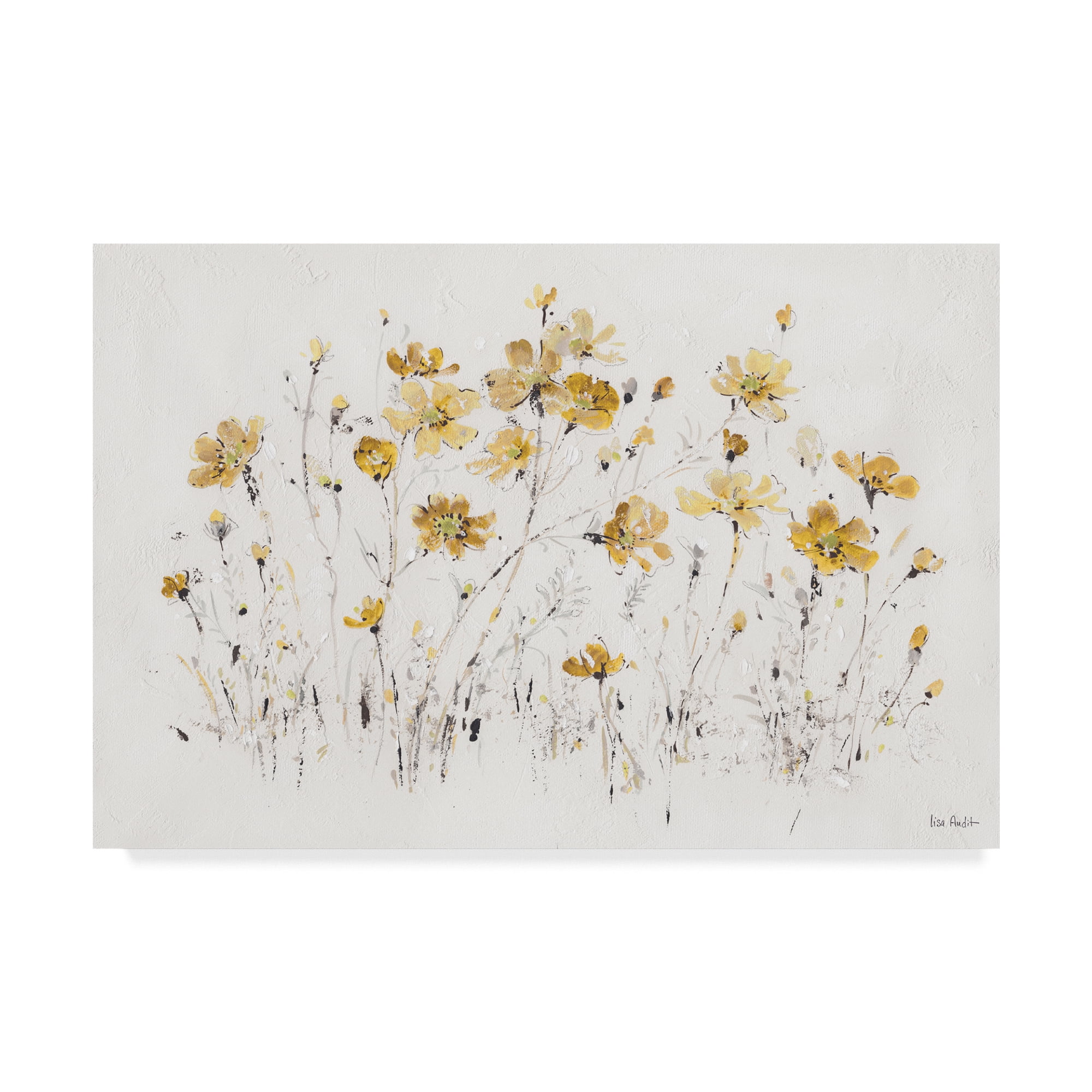 Lisa Audit Yellow Wildflowers Canvas Art, 30x47-Inch