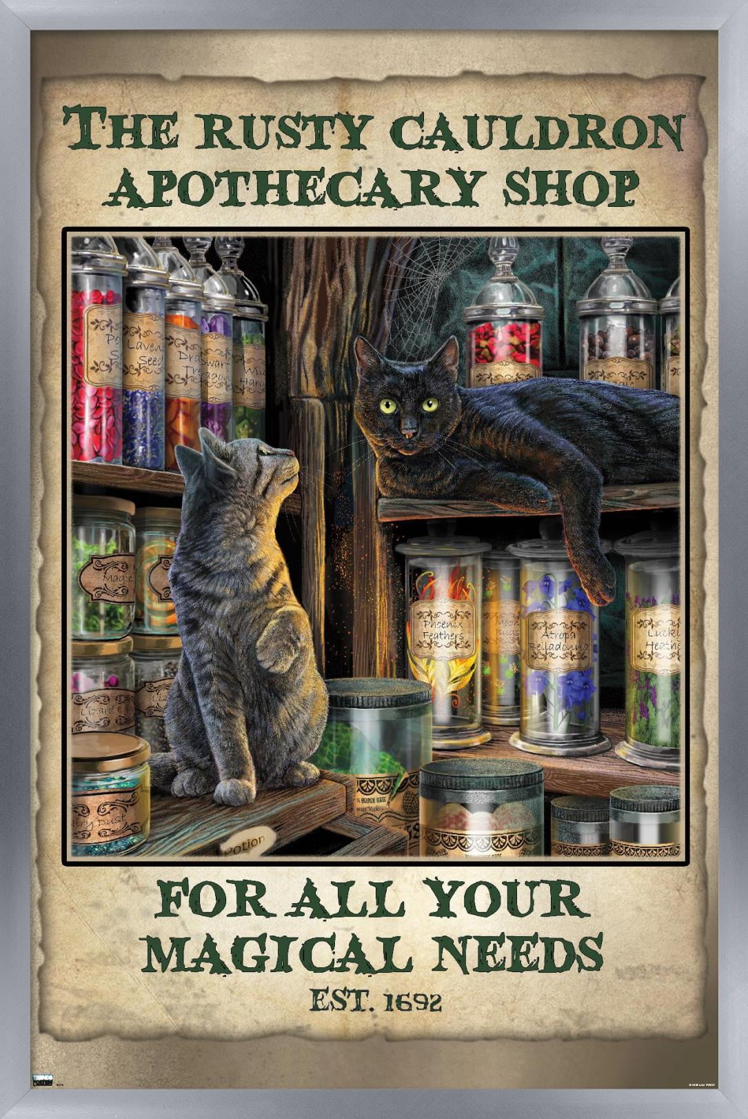 Lisa Parker - Apothecary Shop Wall Poster, 14.725" x 22.375", Framed