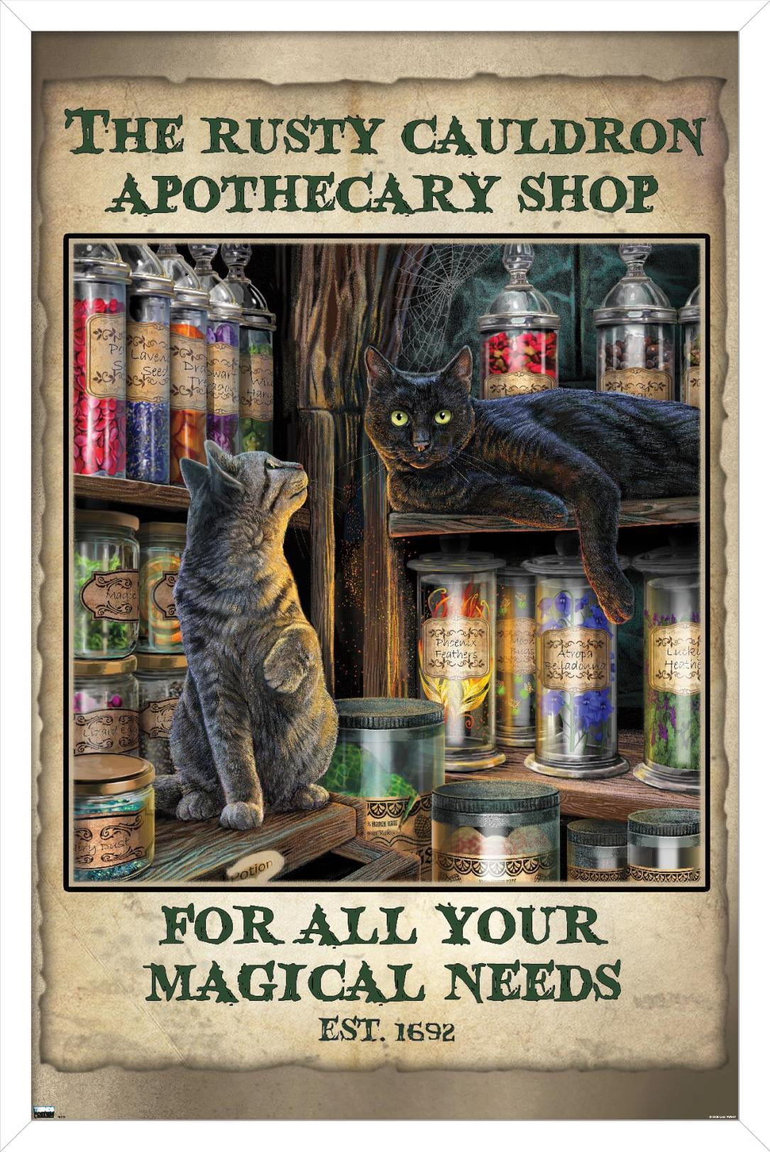 Lisa Parker - Apothecary Shop Wall Poster, 22.375" x 34", Framed