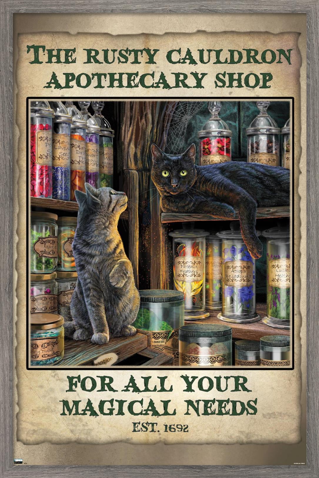 Lisa Parker - Apothecary Shop Wall Poster, 22.375" x 34", Framed