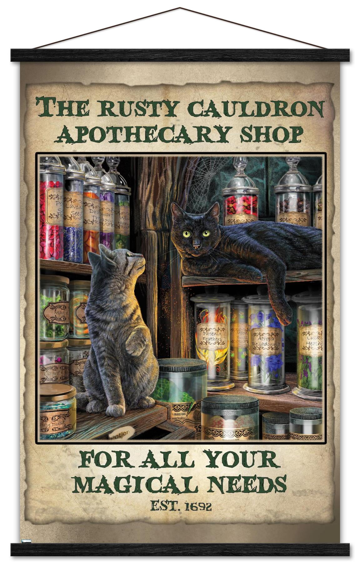 Lisa Parker - Apothecary Shop Wall Poster with Wooden Magnetic Frame, 22.375" x 34"