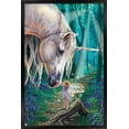 thumbnail image 1 of Lisa Parker - Fairy Whispers Wall Poster, 14.725" x 22.375", Framed, 1 of 6