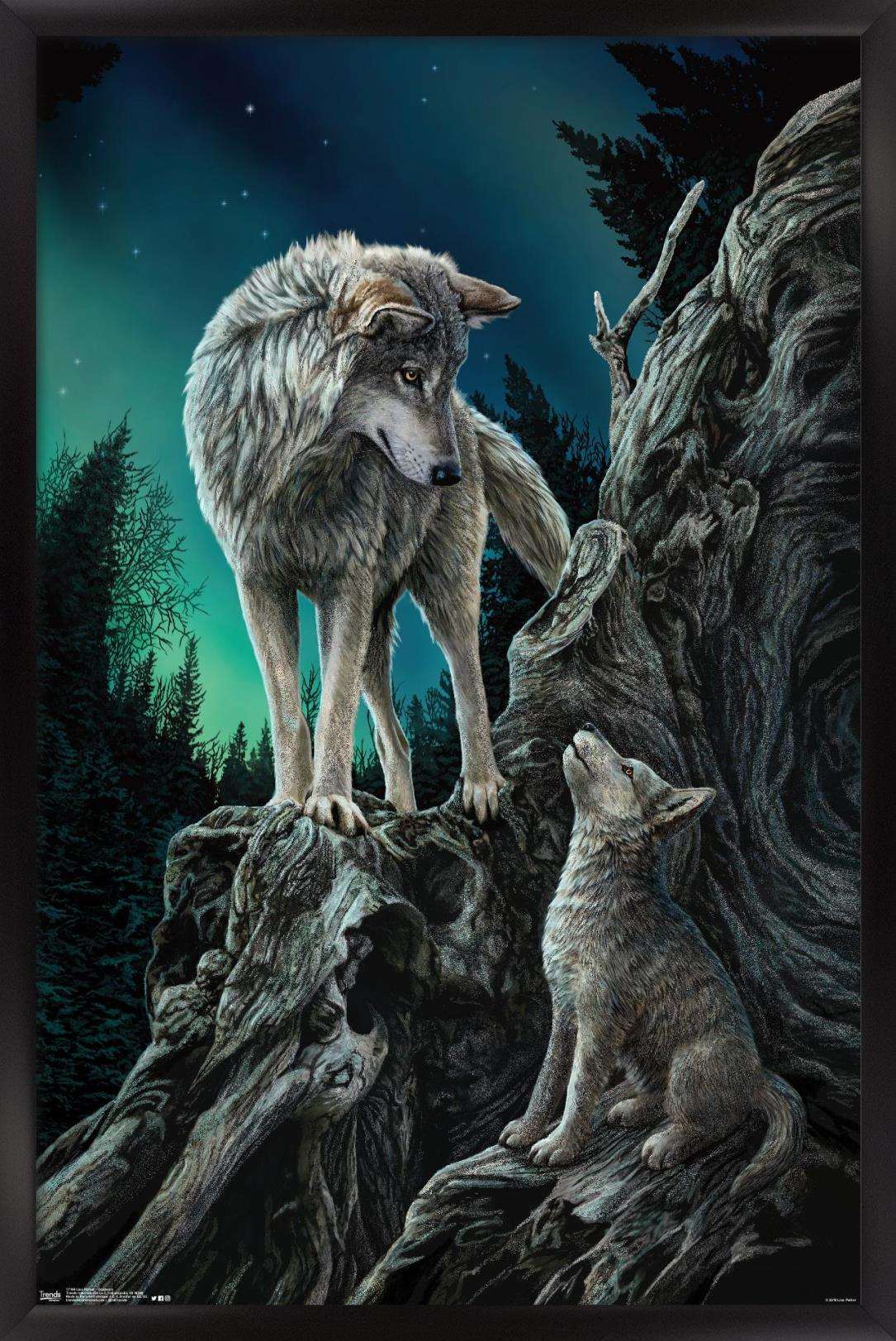 Lisa Parker - Guidance Wall Poster, 14.725" x 22.375", Framed