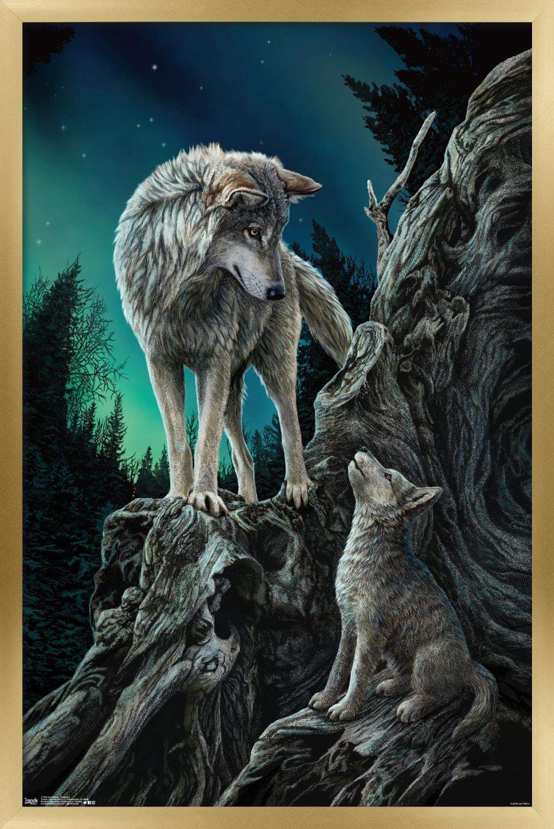 Lisa Parker - Guidance Wall Poster, 22.375" x 34", Framed