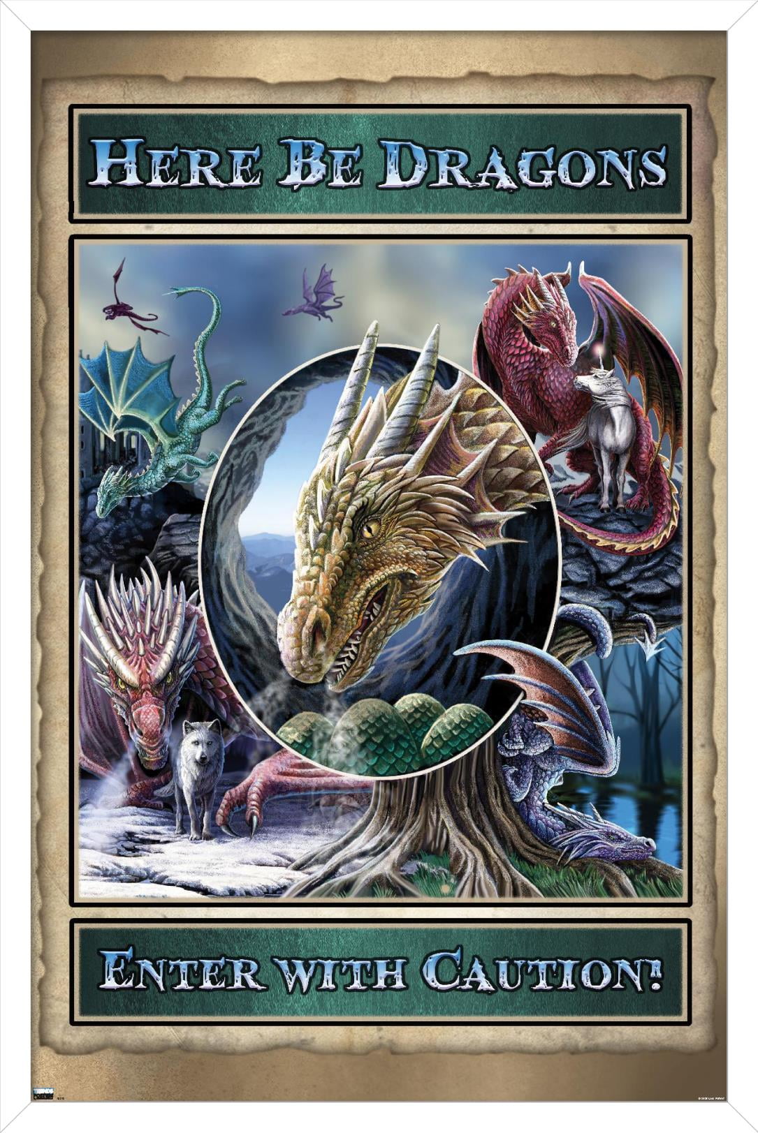 Lisa Parker - Here Be Dragons Wall Poster, 14.725" x 22.375", Framed