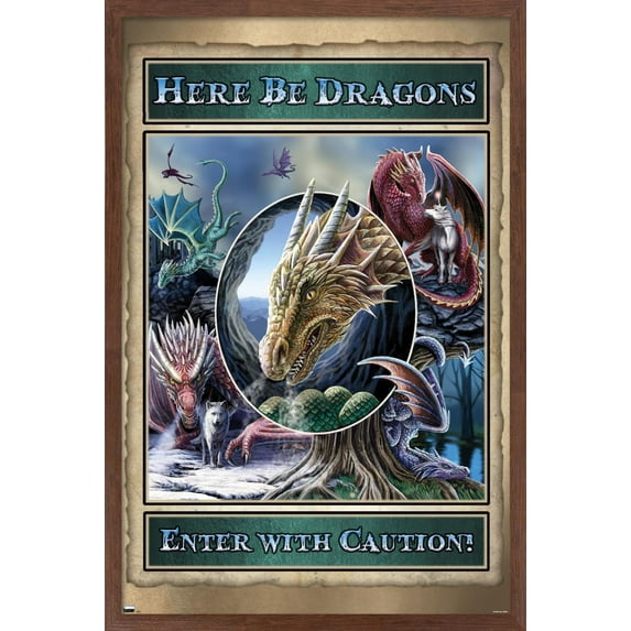 Lisa Parker - Here Be Dragons Wall Poster, 14.725" x 22.375", Framed