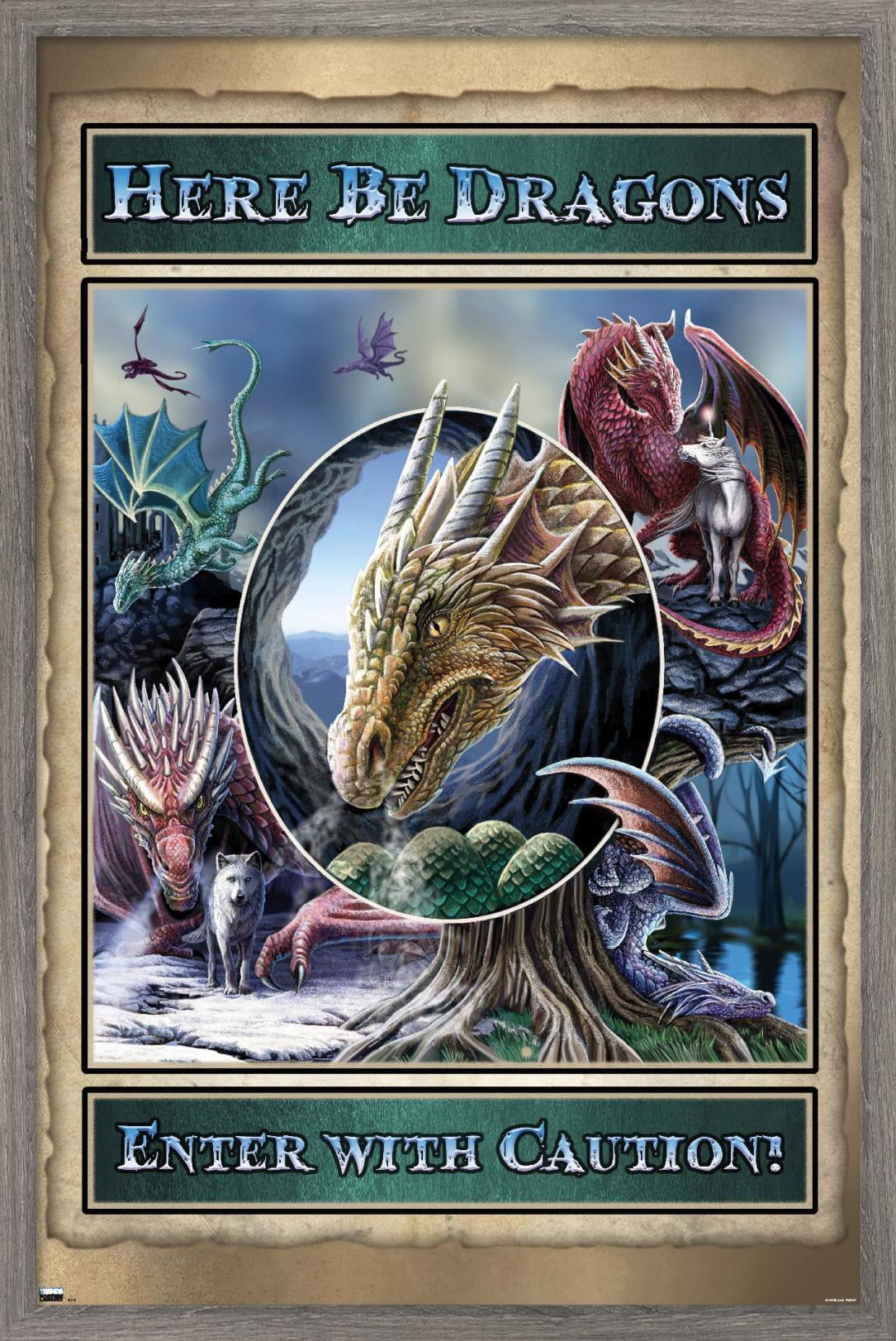 Lisa Parker - Here Be Dragons Wall Poster, 14.725" x 22.375", Framed