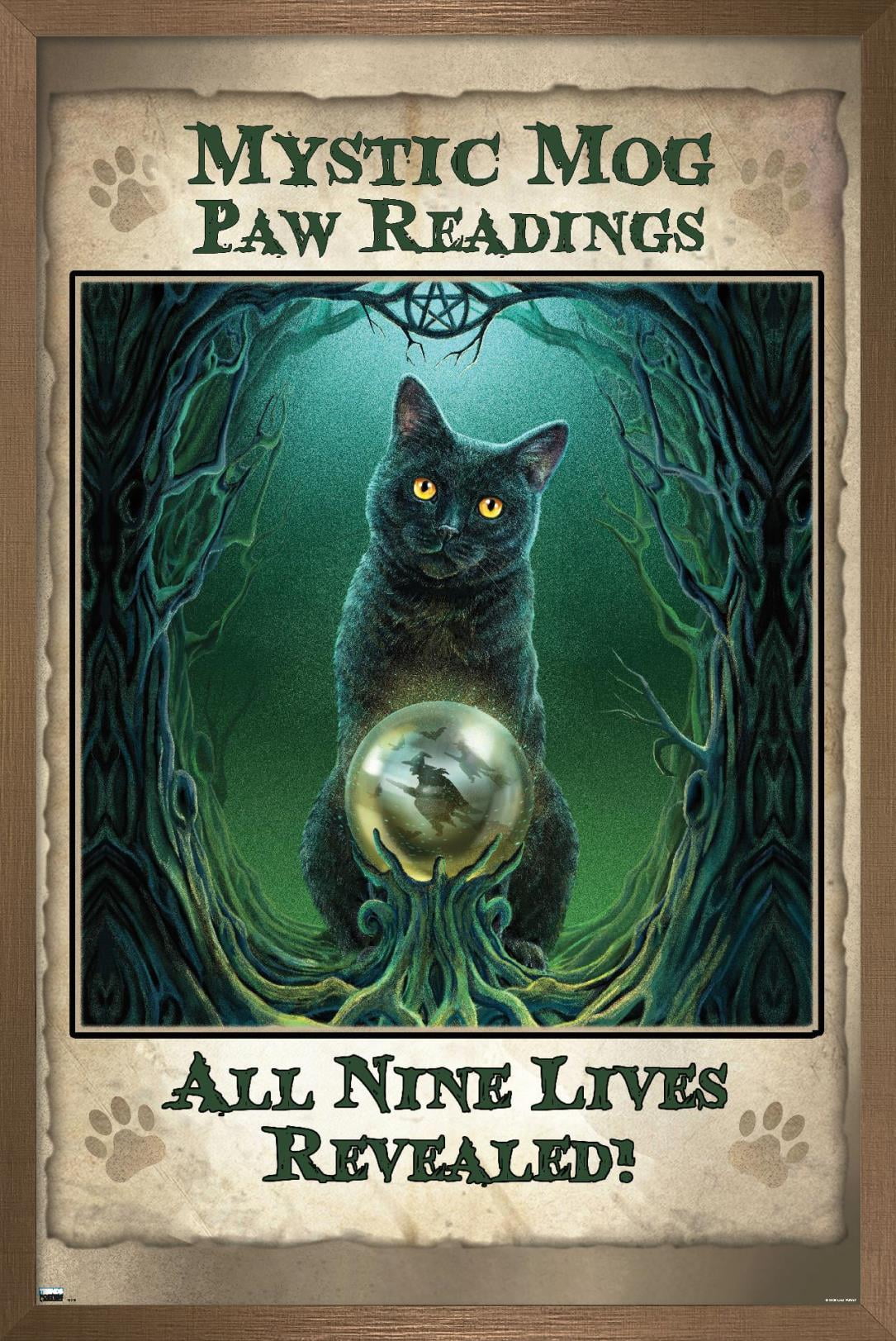 Lisa Parker - Mystic Mog Wall Poster, 14.725" x 22.375", Framed