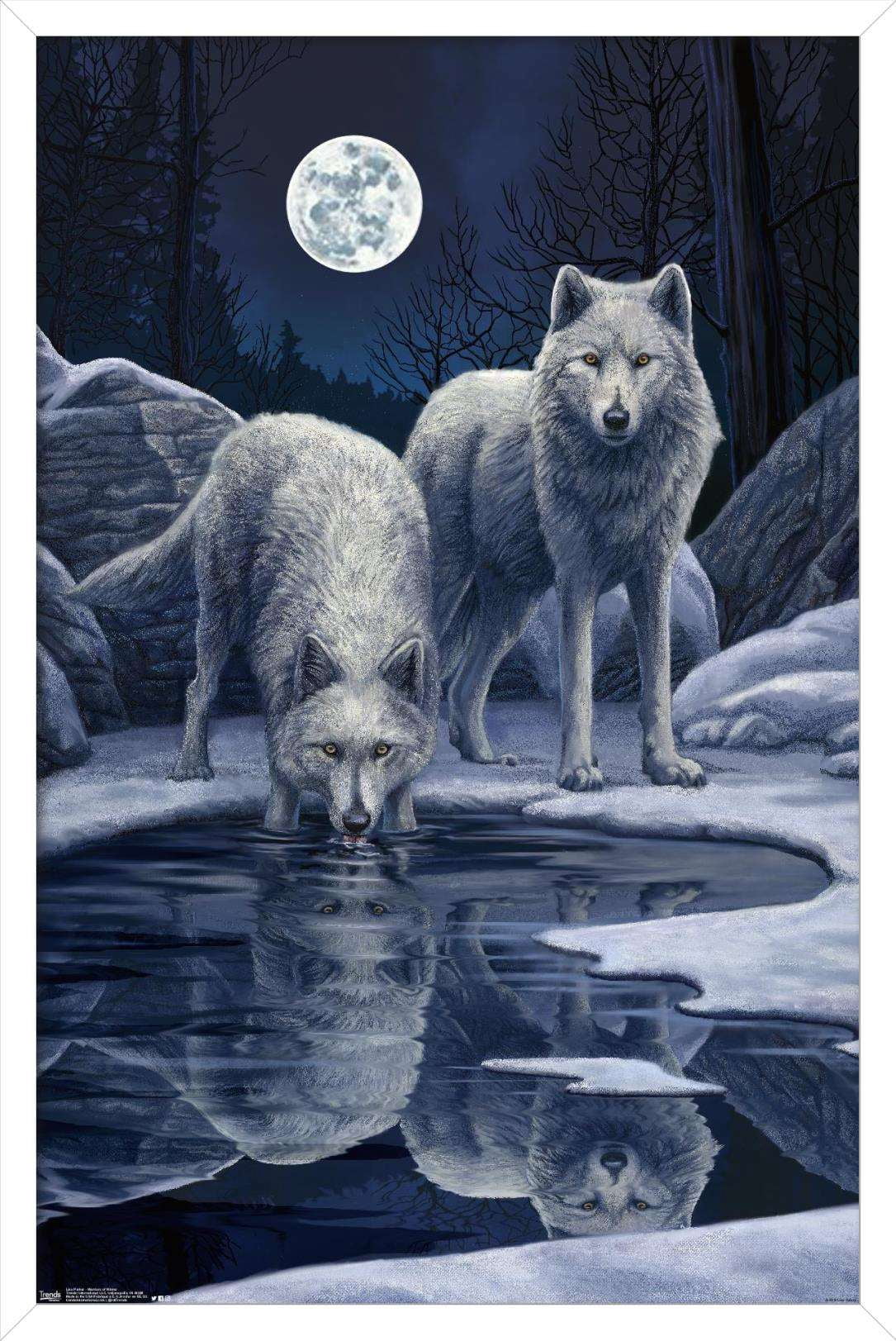 Lisa Parker - Warriors Of Winter Wall Poster, 14.725" x 22.375", Framed