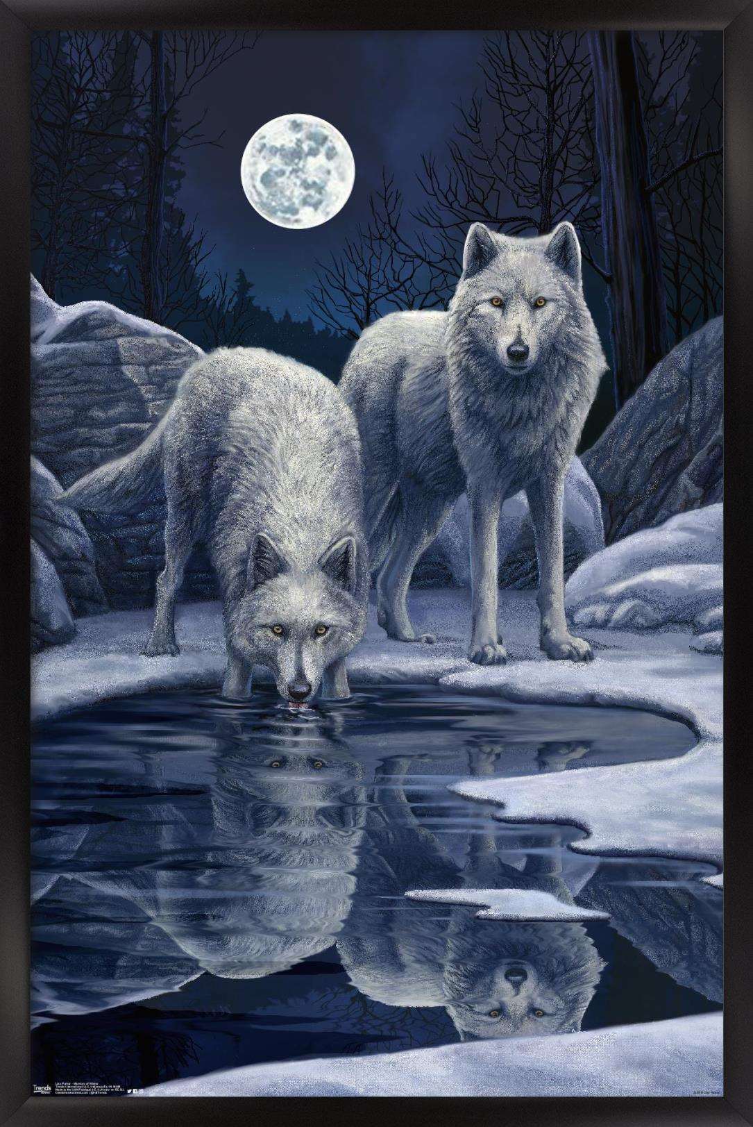 Lisa Parker - Warriors Of Winter Wall Poster, 14.725" x 22.375", Framed