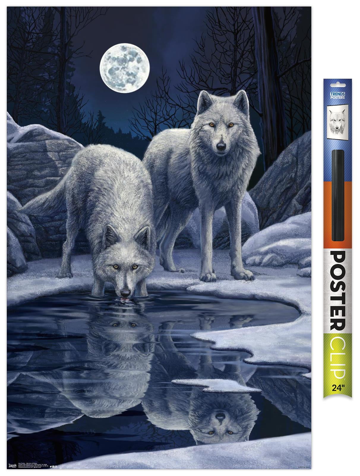 Lisa Parker - Warriors Of Winter Wall Poster, 22.375" x 34"