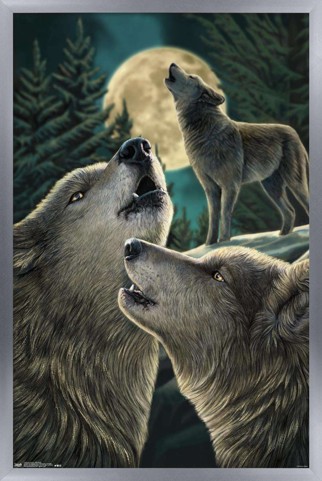 Lisa Parker - Wolf Song Wall Poster, 14.725" x 22.375", Framed
