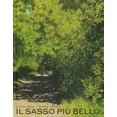 thumbnail image 1 of Lisa Topi,Gilles Baum,Joanna Consejo Il sasso più bello. Ediz. a colori (Hardcover), 1 of 1